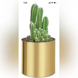 Gold Planter